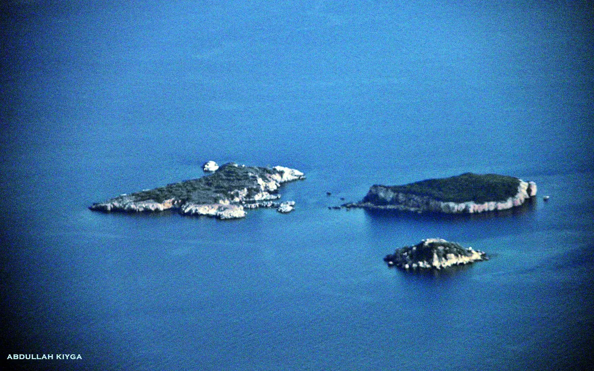 Kemer Üç Adalar ve Phaselis Turu — fotoğraf 9