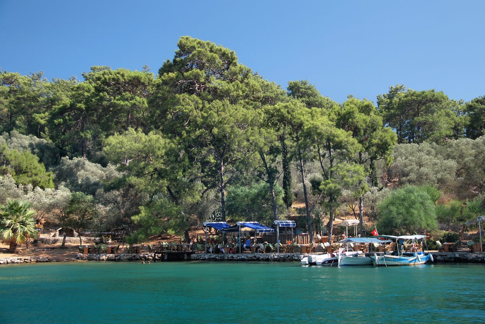 12 Adalar Tekne Turu — fotoğraf 8