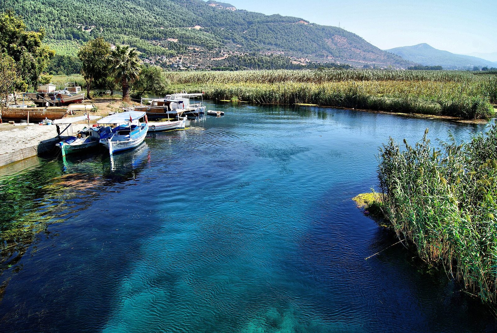 Akyaka Akbük ve Asarcık Koyları Turu — fotoğraf 3