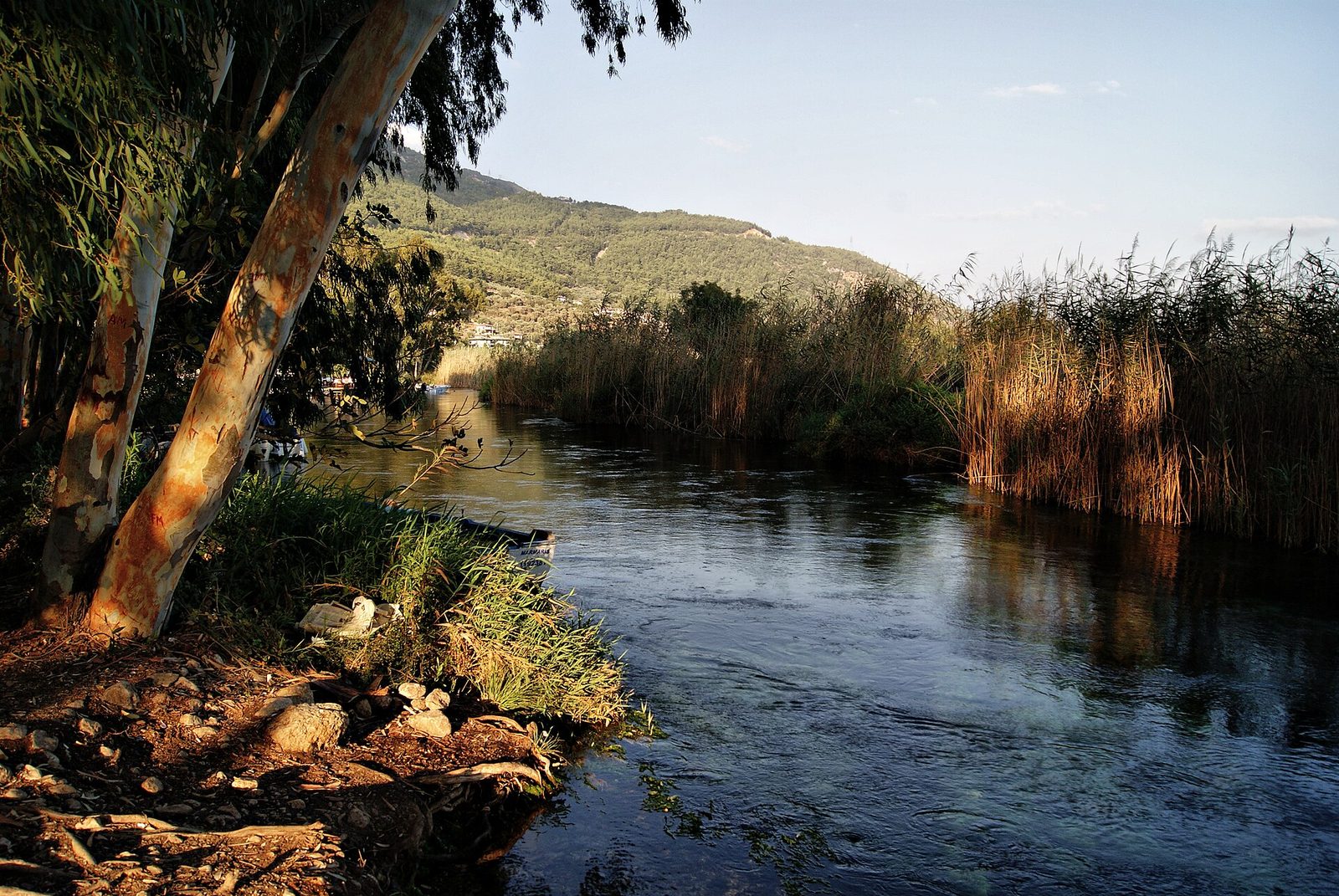 Akyaka Azmak Nehir Turu — fotoğraf 6