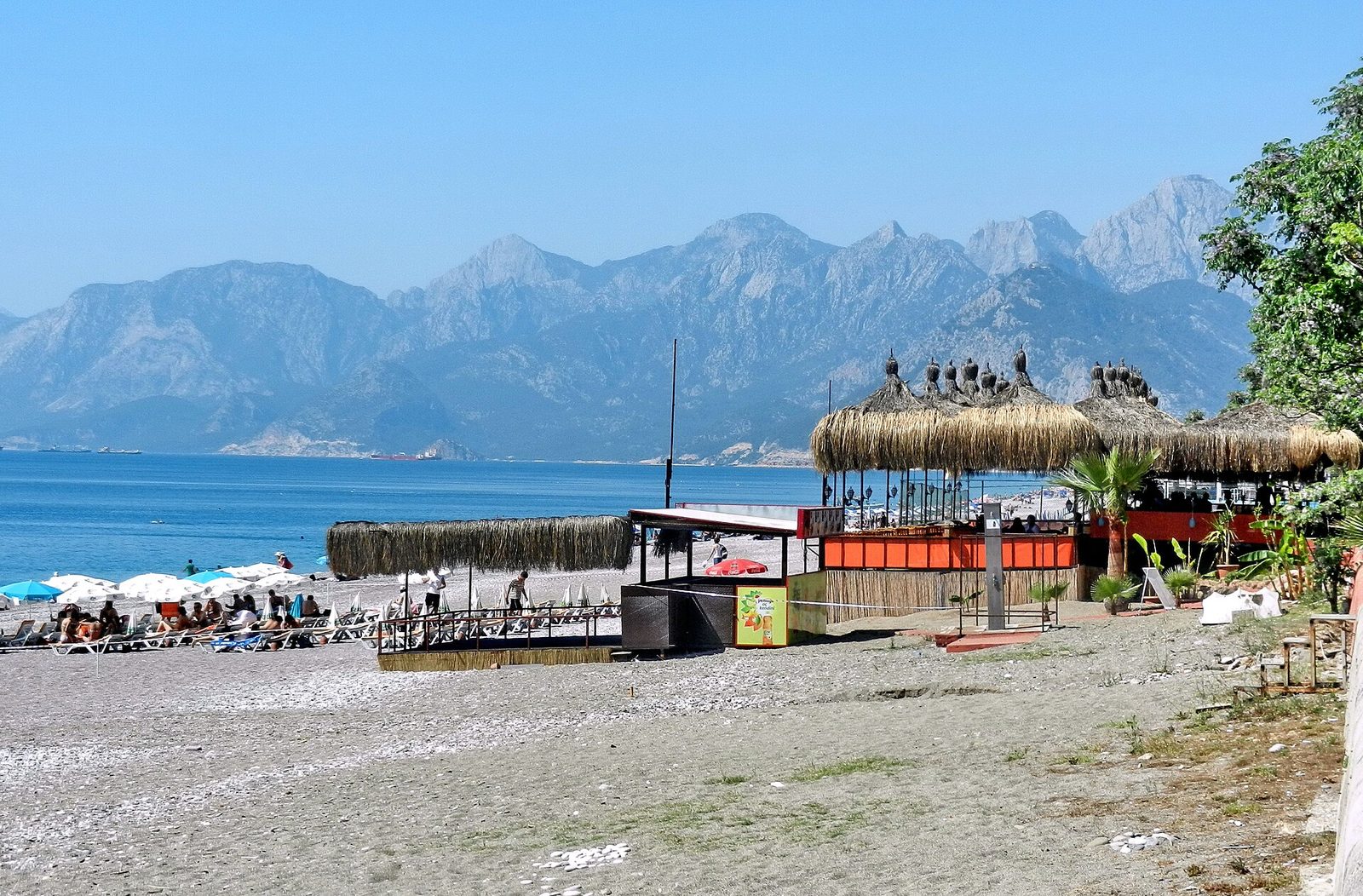 Antalya Körfezi Balık Avı Turu — fotoğraf 4