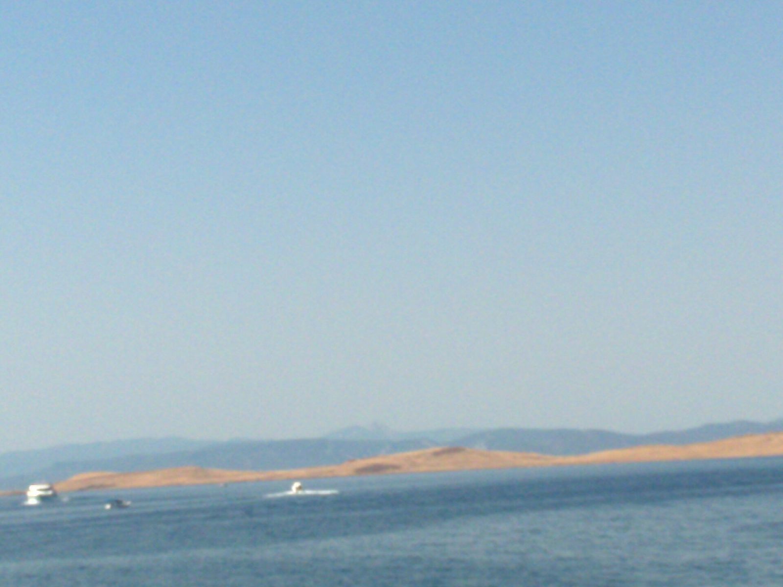 Ayvalık Adaları Tekne Turu — fotoğraf 2