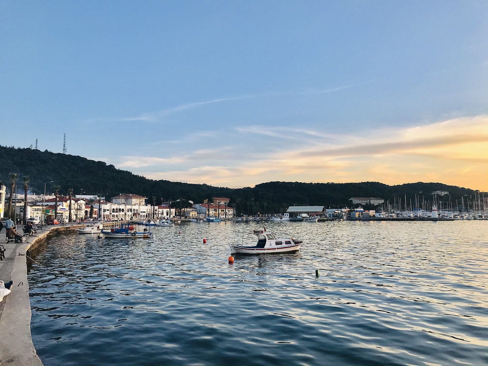 Ayvalık Adaları Tekne Turu — fotoğraf 5