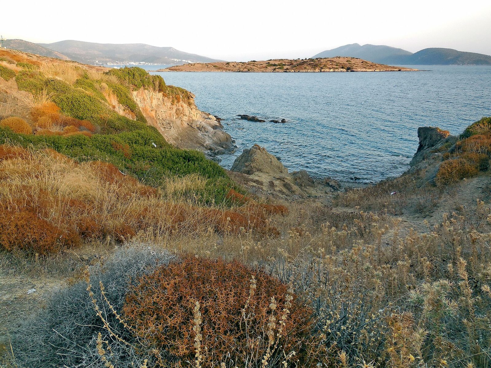 Bodrum Keşif Dalışı — fotoğraf 2