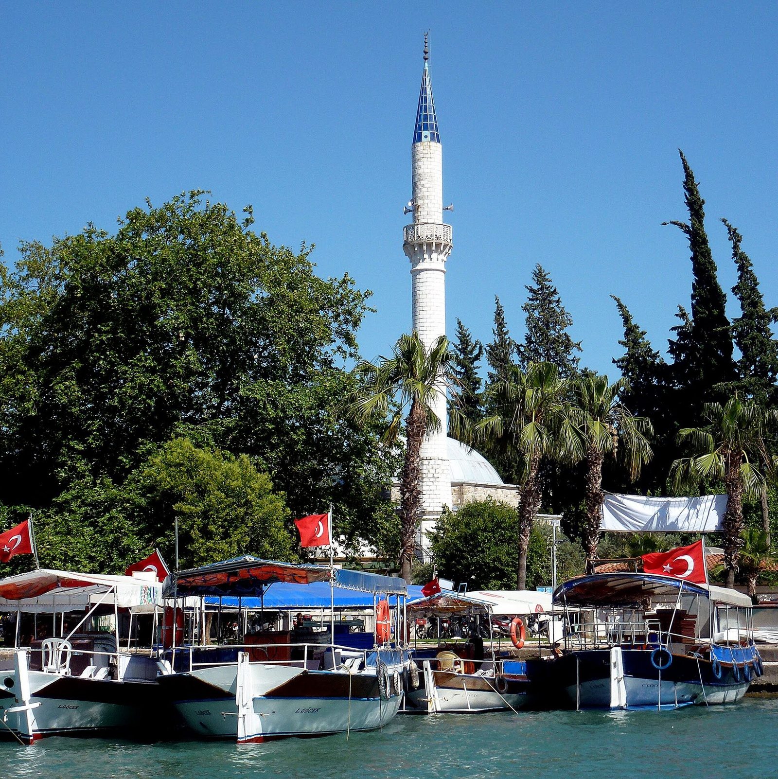 Dalyan Bacardi (Kargıcak) Koyu Turu — fotoğraf 2