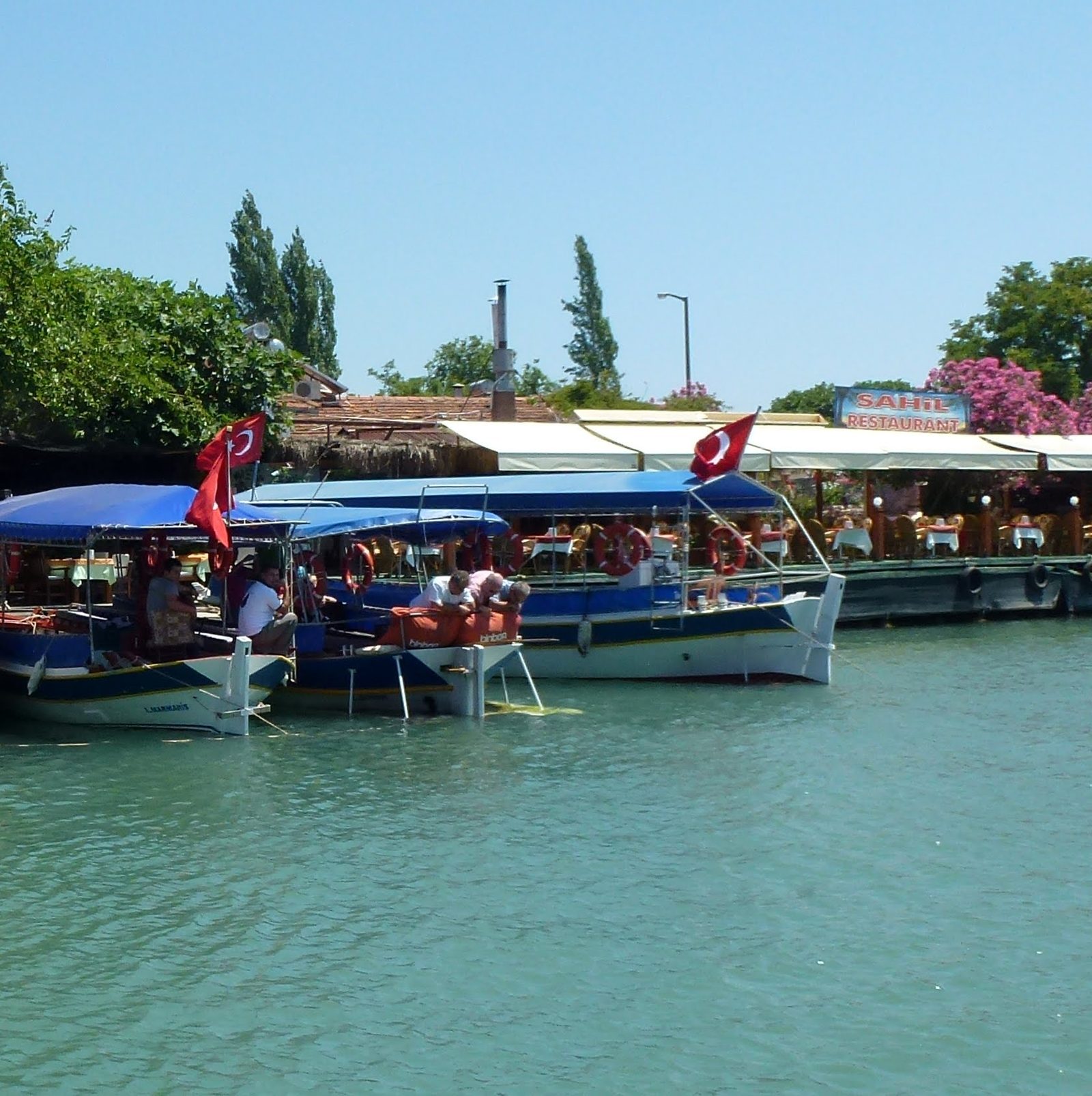 Dalyan Bacardi (Kargıcak) Koyu Turu — fotoğraf 5