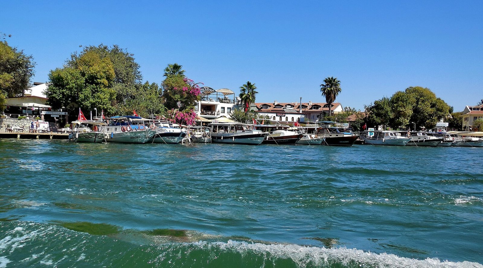 Dalyan Bacardi (Kargıcak) Koyu Turu — fotoğraf 8