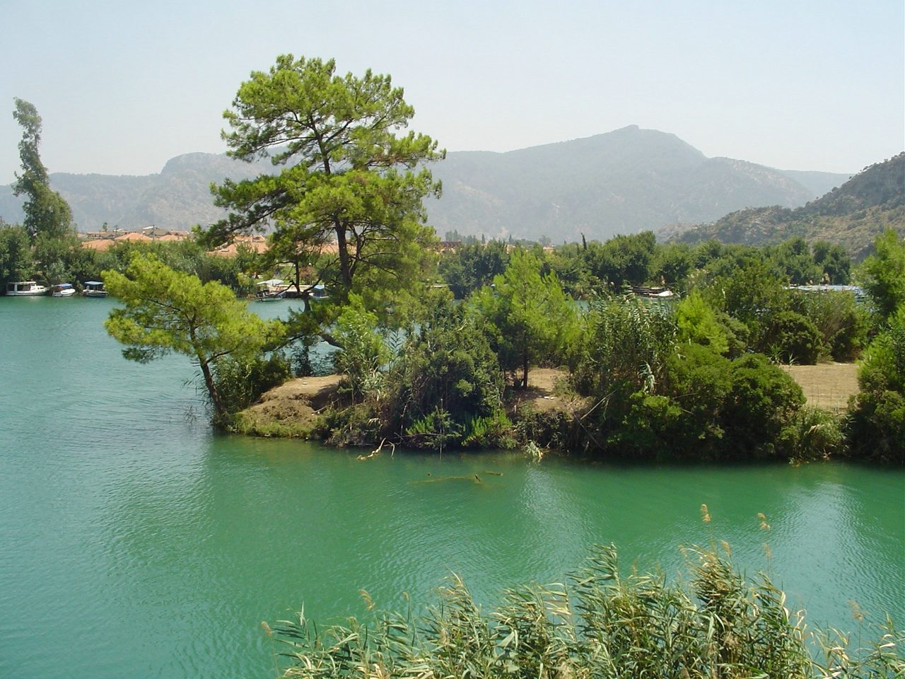 Dalyan Günlük Yemekli Kanal Turu — fotoğraf 5