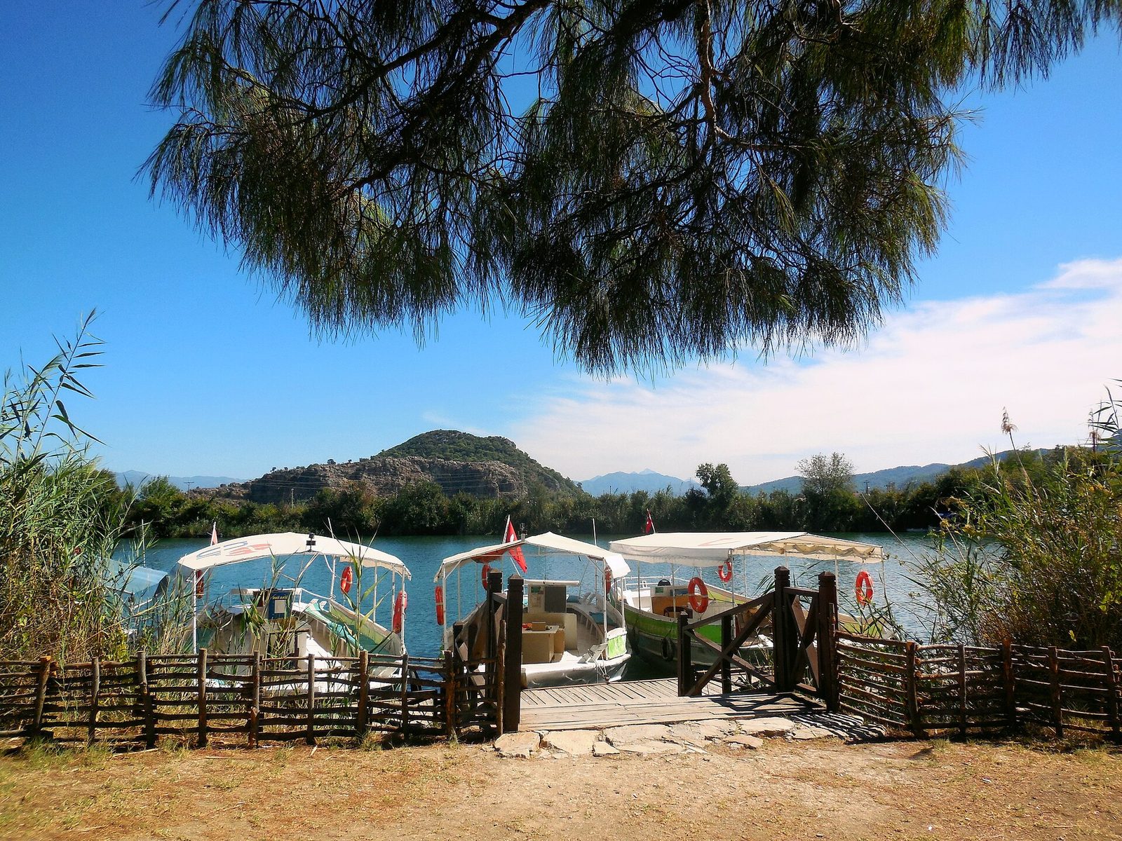 Dalyan Nehir ve İztuzu Turu — fotoğraf 3