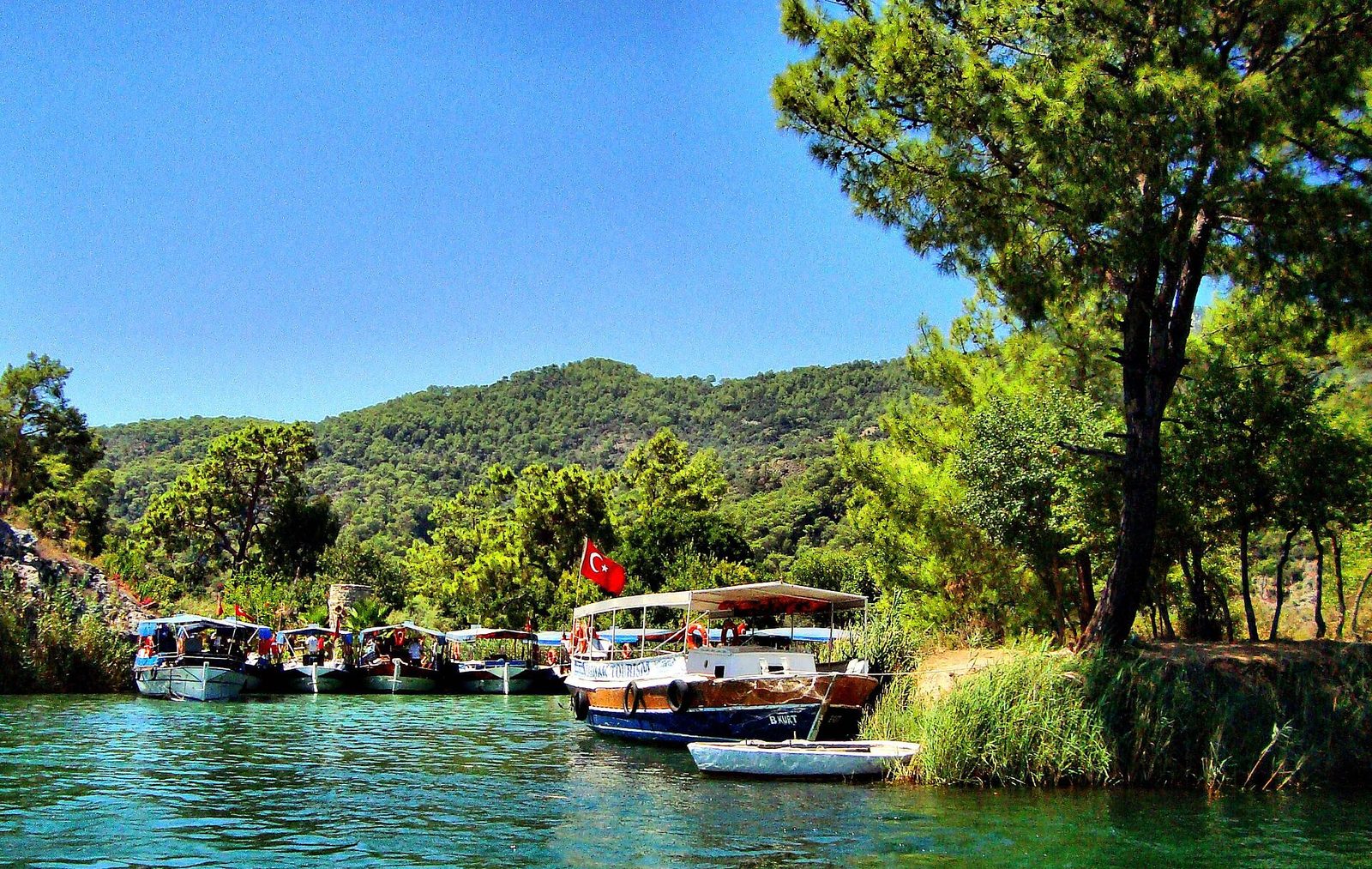 Dalyan Nehir ve İztuzu Turu — fotoğraf 4