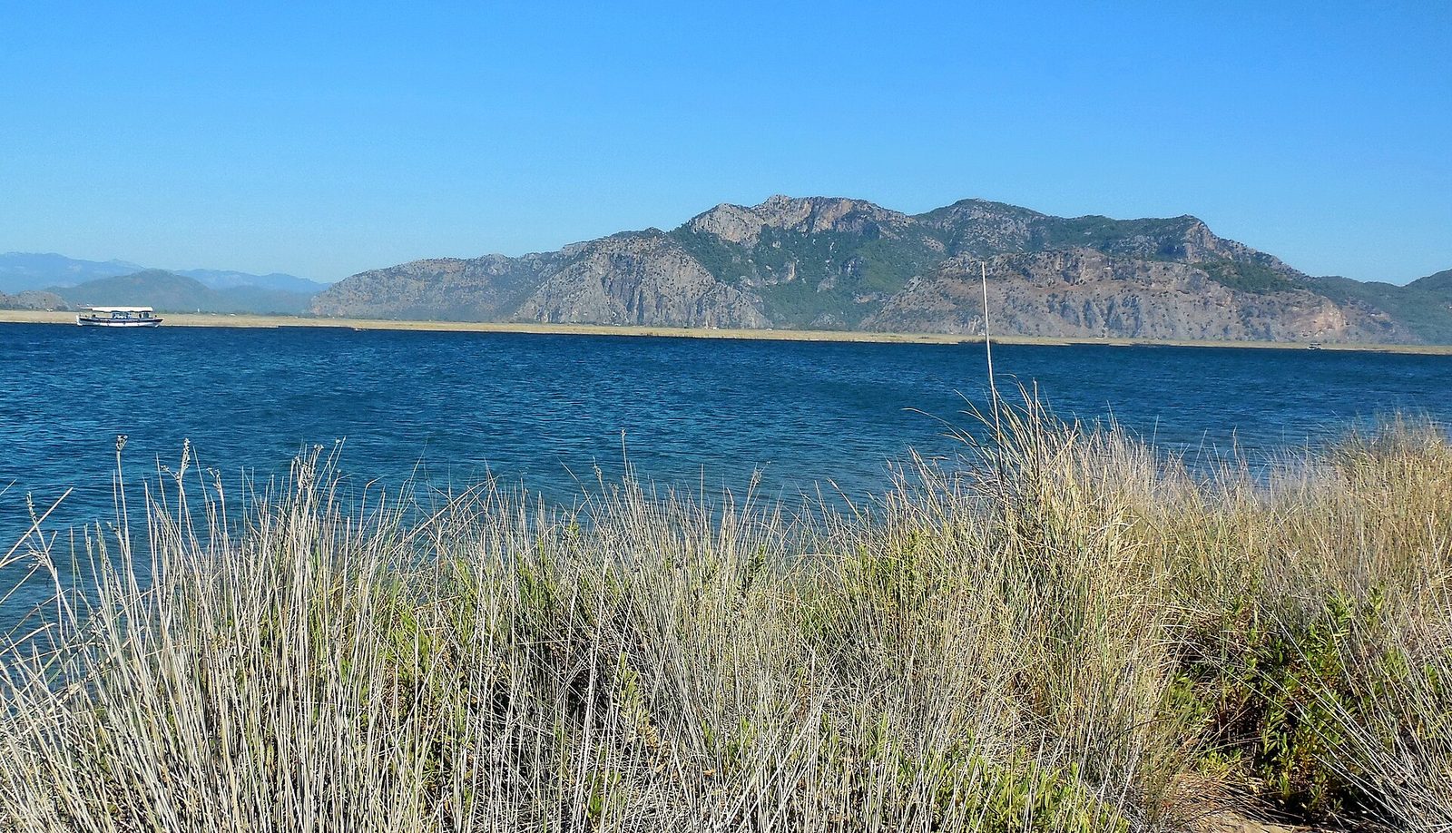 Dalyan Nehir ve İztuzu Turu — fotoğraf 8