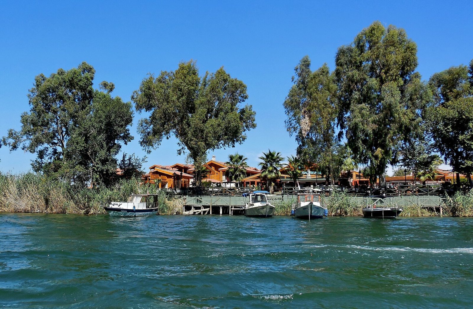 Dalyan Mehtap Turu — fotoğraf 3