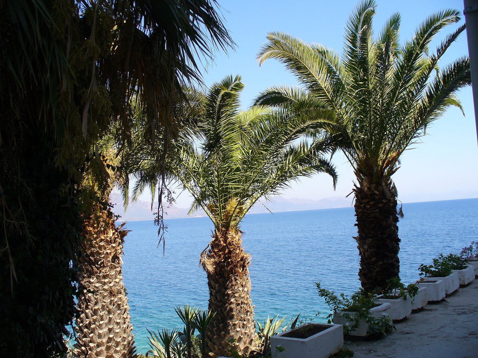 Datça Knidos Tekne Turu — fotoğraf 4