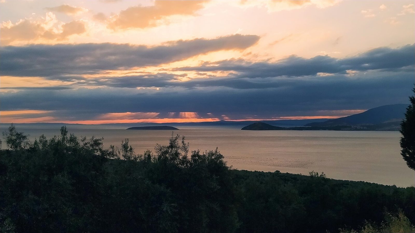 Erdek — Avşa Adası Tekne Turu — fotoğraf 7