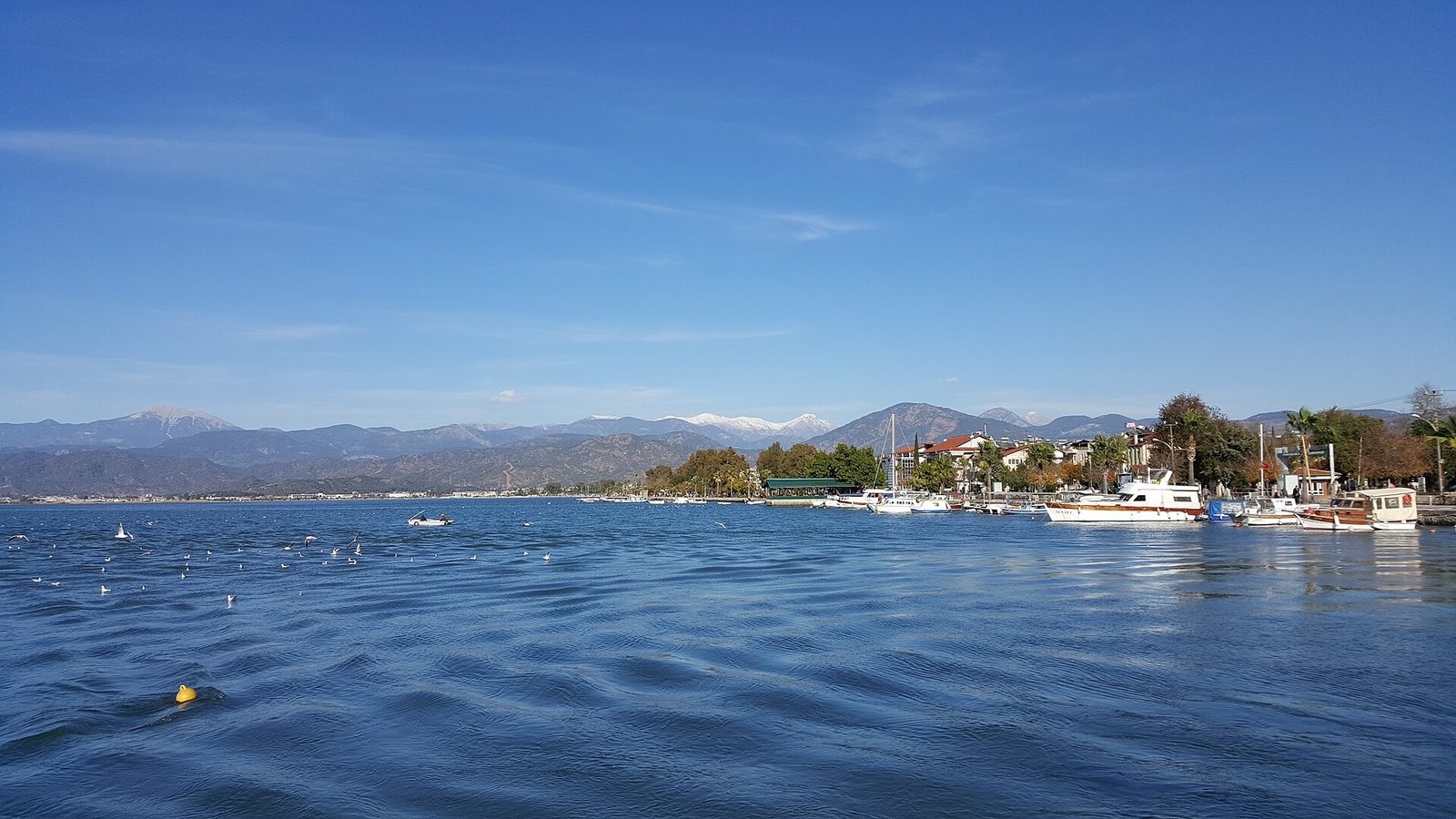 Fethiye Derin Deniz Balık Avı Turu — fotoğraf 4