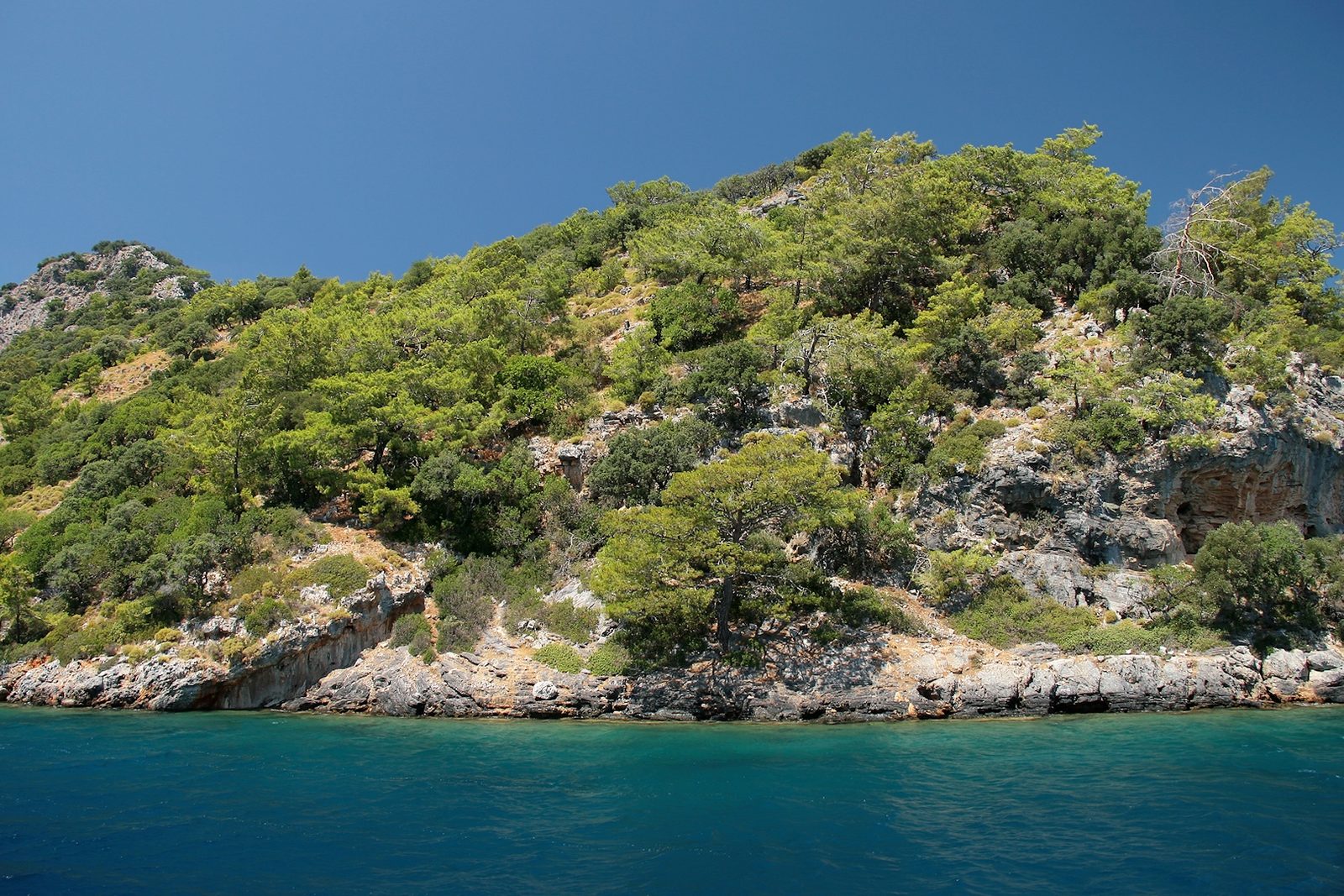 Göcek 12 Adalar Tekne Turu — fotoğraf 7