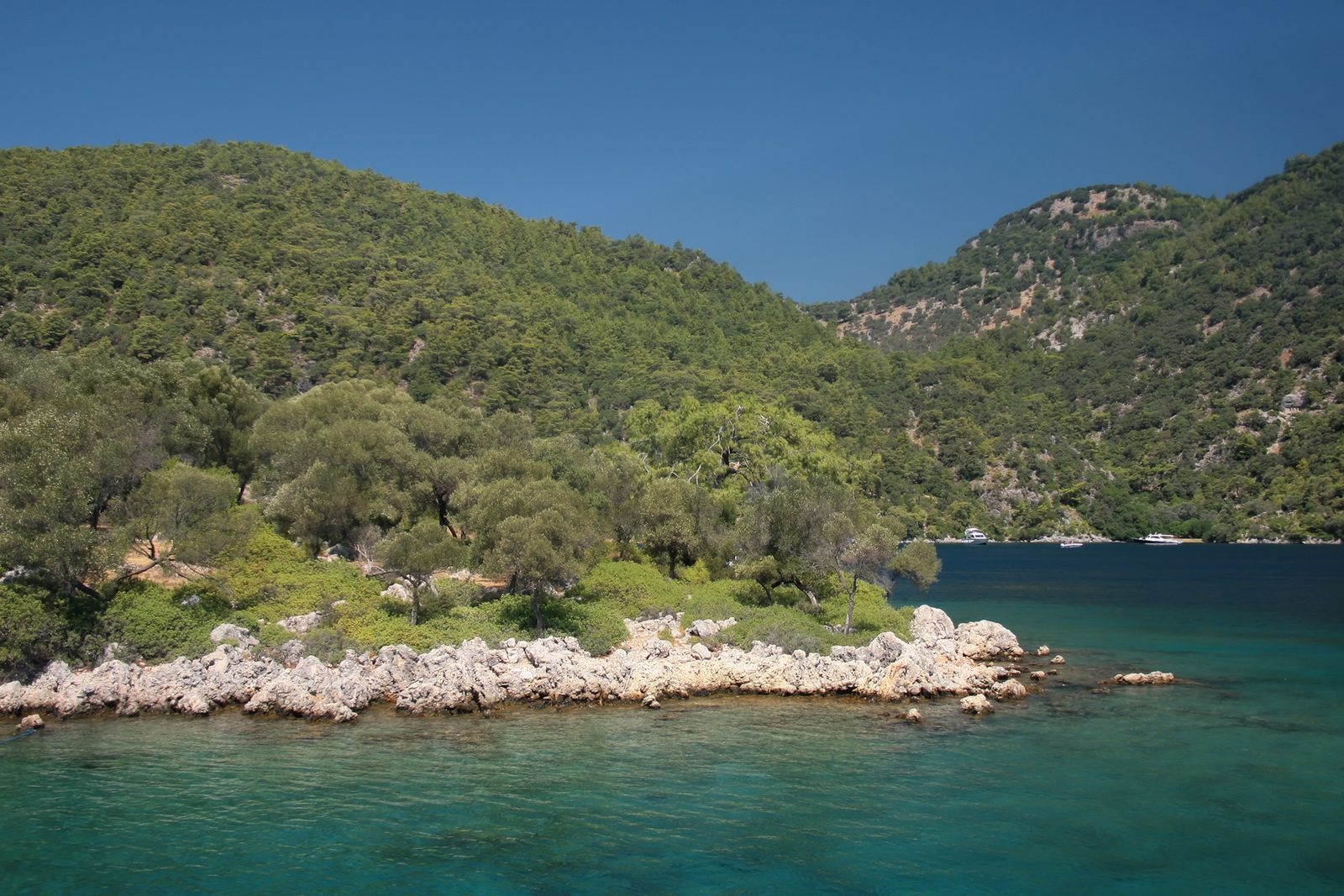 Göcek Gün Batımı ve Akşam Yemeği Turu — fotoğraf 8