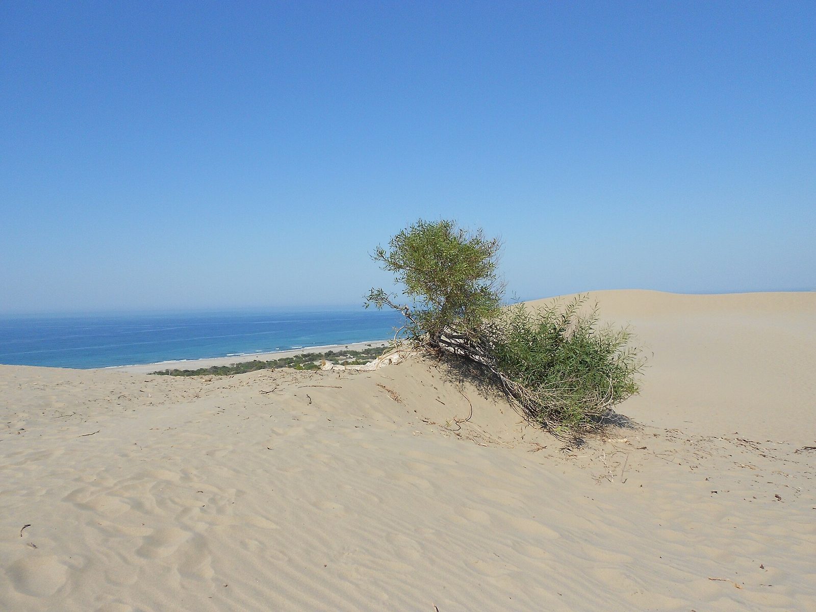 Kalkan Koylar Turu — Kaputaş, Mavi Mağara ve Patara — fotoğraf 5