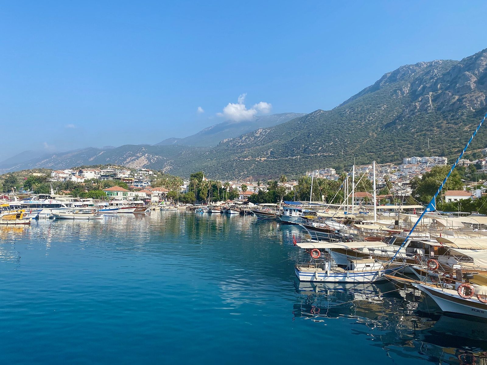 Kaş Doğu Koyları ve Limanağzı Turu — fotoğraf 3