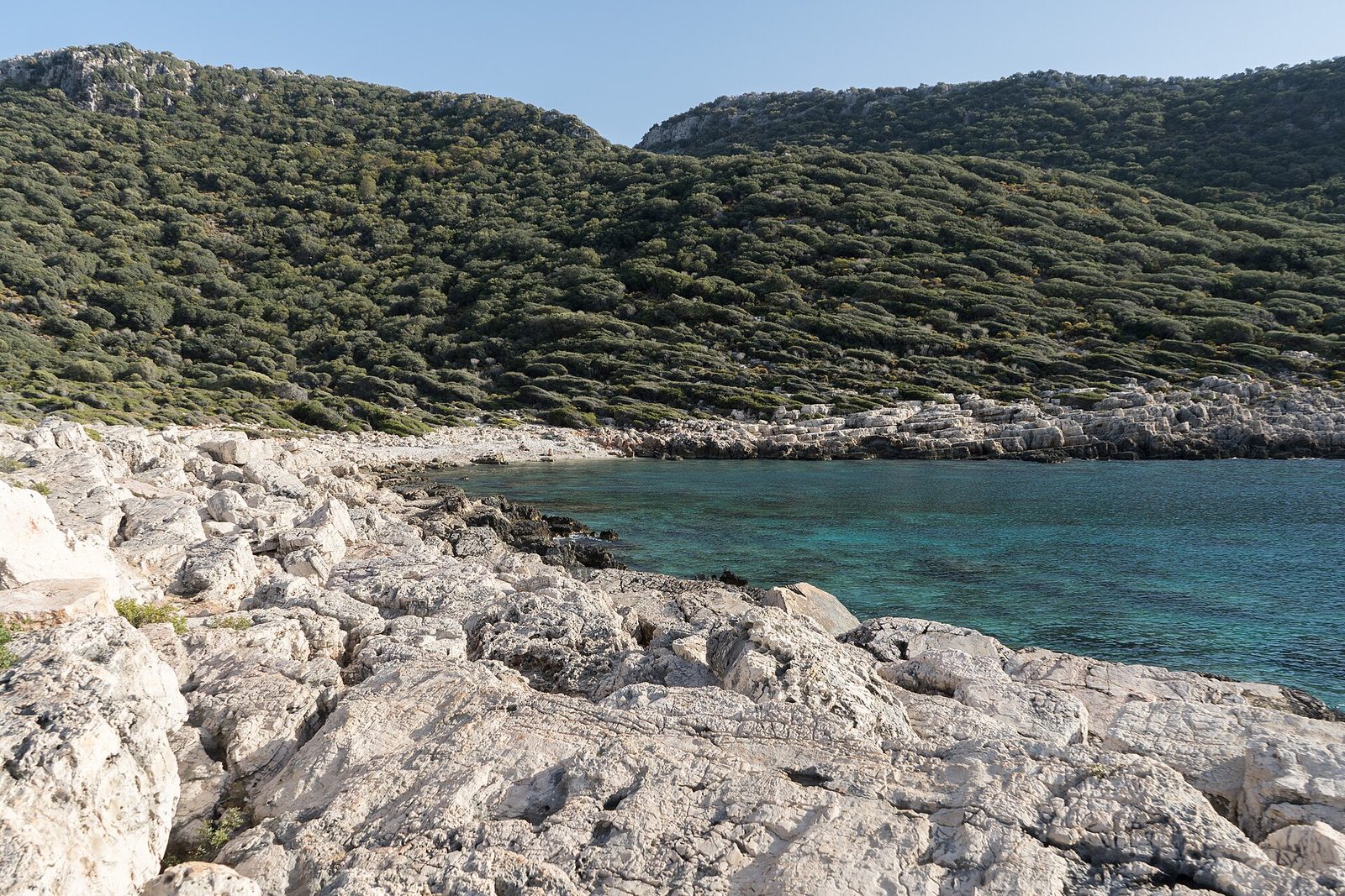 Kaş Doğu Koyları ve Limanağzı Turu — fotoğraf 4