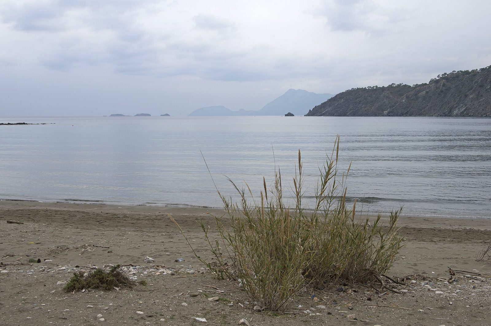 Kemer Üç Adalar ve Phaselis Turu