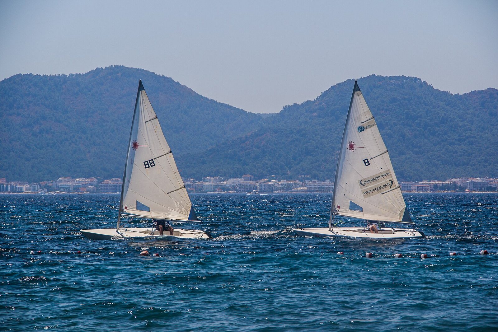 Marmaris Yunus Gözlem Turu