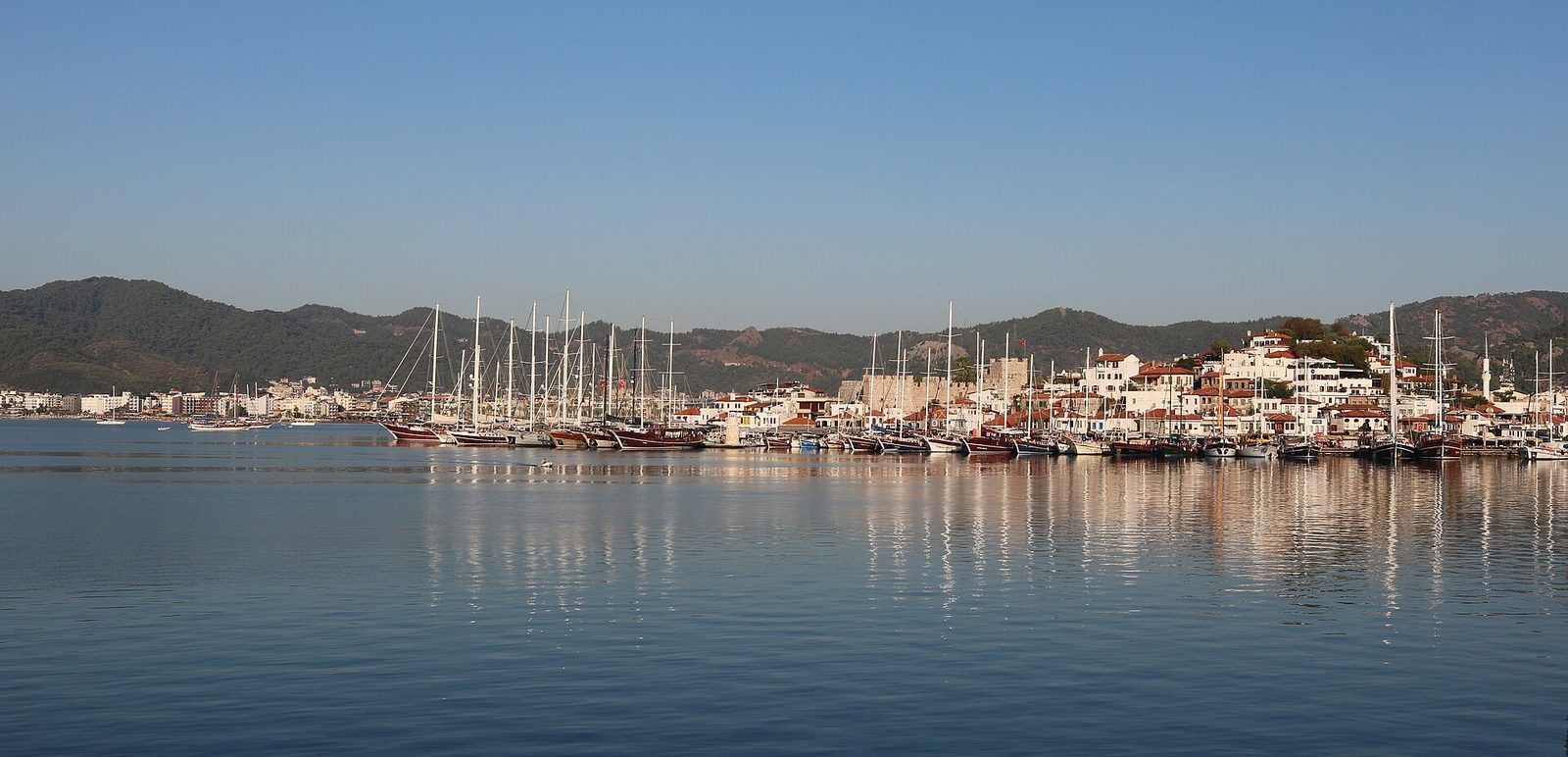 Marmaris Yunus Gözlem Turu — fotoğraf 5
