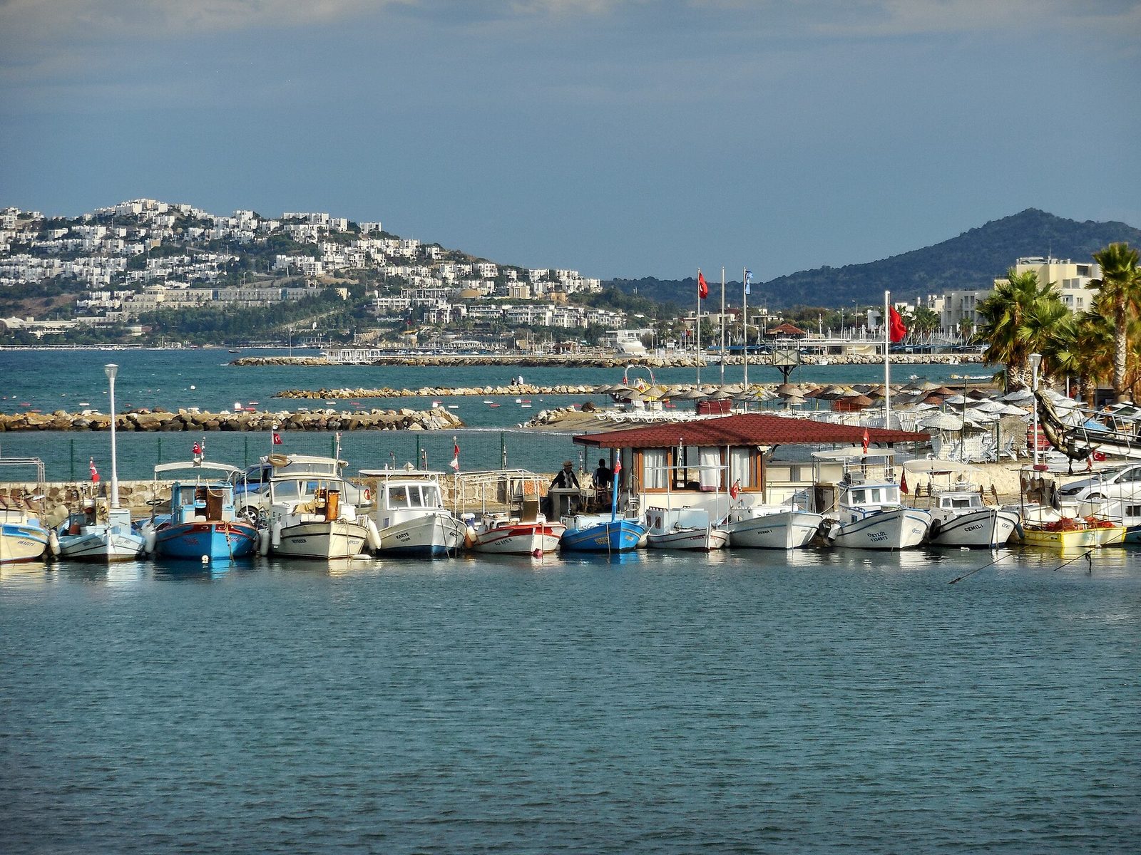 Turgutreis Kuzey Rotası — Kiremit Adaları ve Gümüşlük — fotoğraf 5
