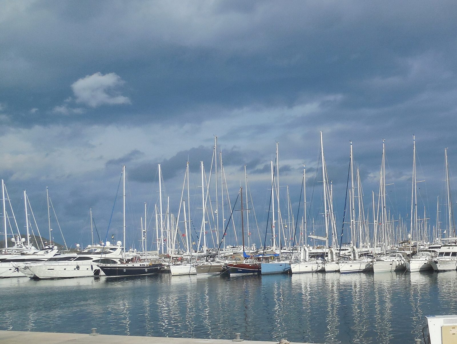 Turgutreis Kuzey Rotası — Kiremit Adaları ve Gümüşlük — fotoğraf 6
